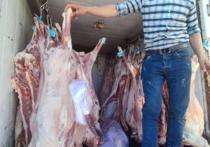 توزیع گوشت گرم وارداتی تنظیم بازاری در خرم آباد