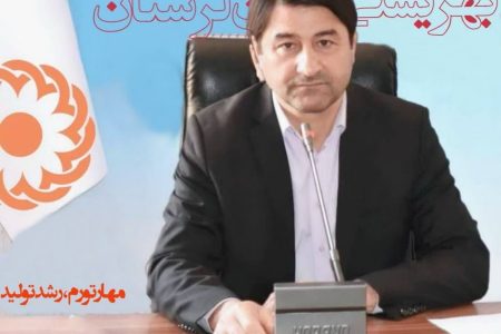 ۸۰ هزار نفر از خدمات بهزیستی لرستان بهره‌مند شدند