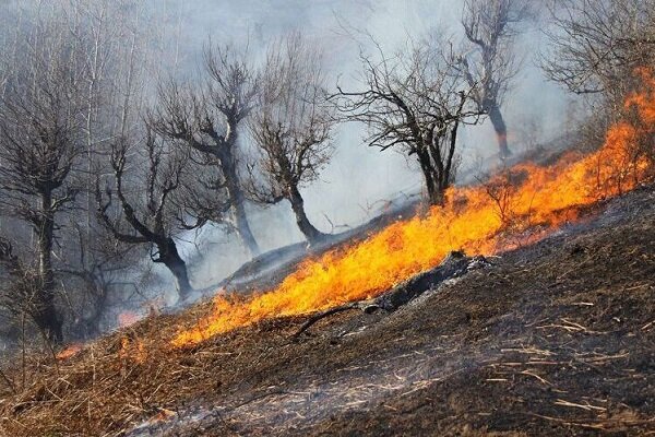 مهار آتش سوزی جنگل ها و مراتع استان لرستان