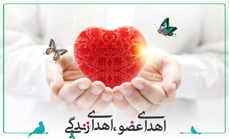 اهدای عضو جوان مرگ مغزی ۳۷ ساله الشتری نجات بخش زندگی چند بیمار شد